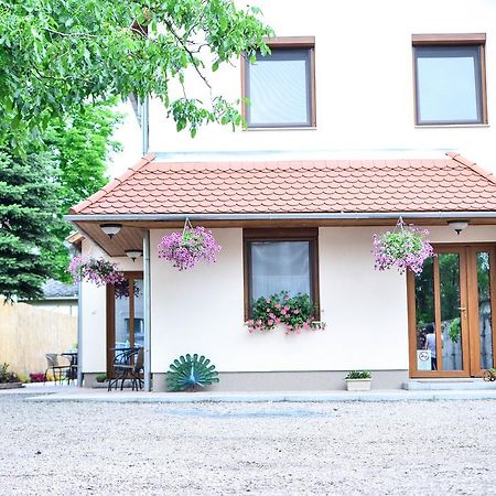 Pava Apartmanhaz Makó 外观 照片